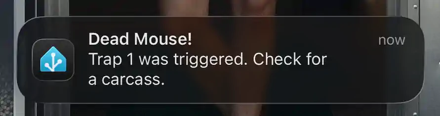 Push Notification